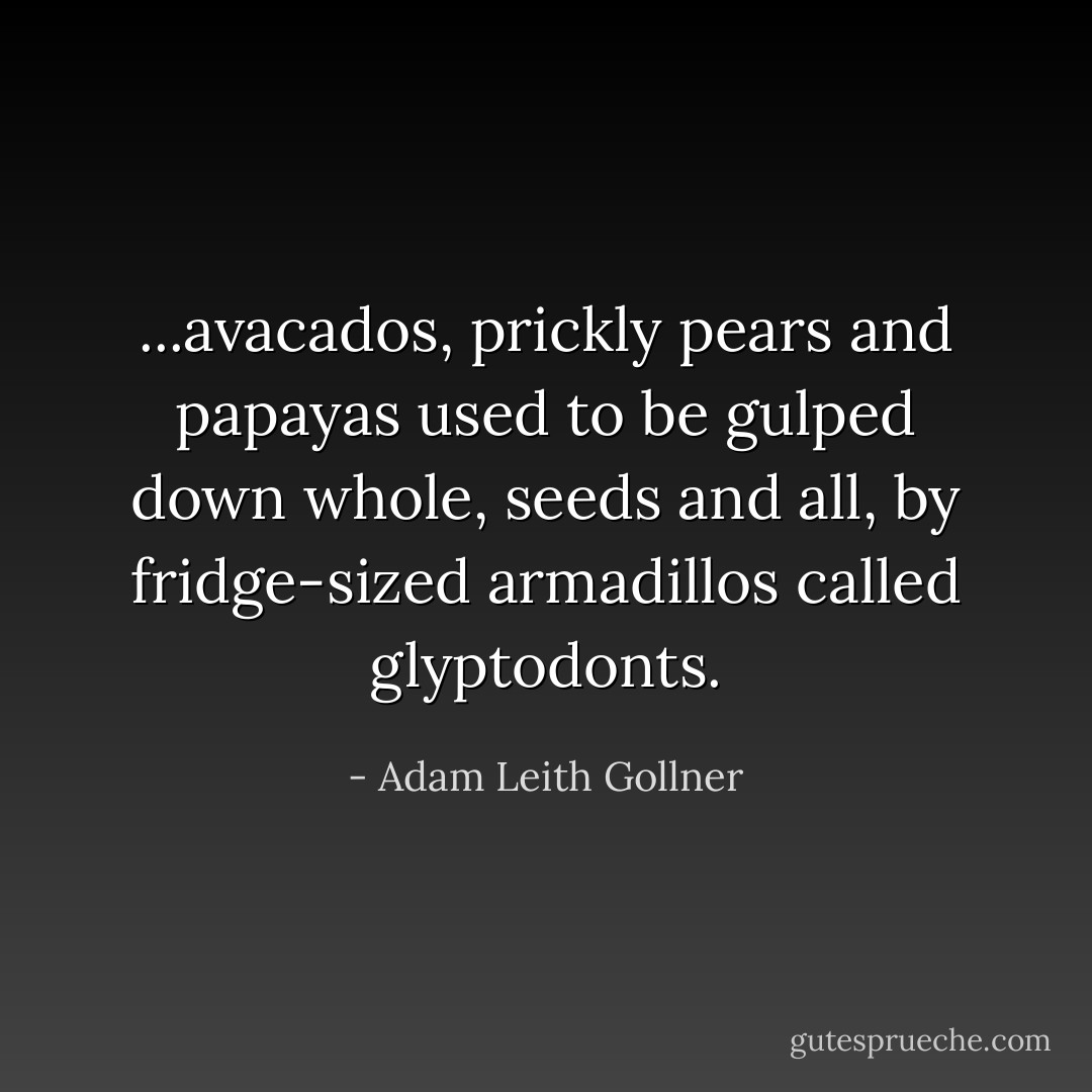 ...avacados, prickly pears and papayas used to be gulped down whole, seeds and all, by fridge-sized armadillos called glyptodonts. - Adam Leith Gollner