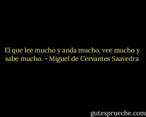 El que lee mucho y anda mucho, vee mucho y sabe mucho. - Miguel de Cervantes Saavedra