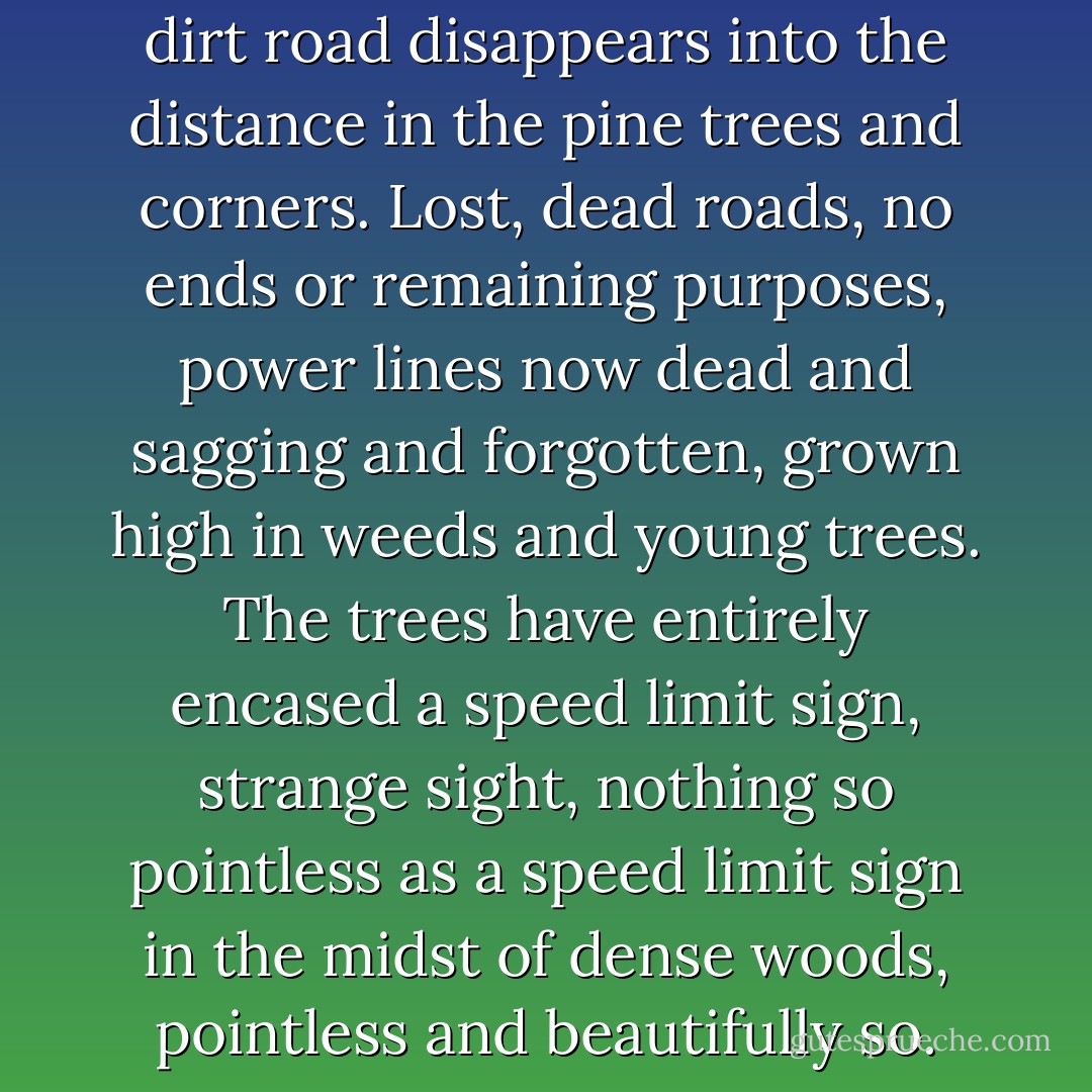 Behind a barbed-wire fence, a dirt road disappears into the distance in the pine trees and corners. Lost, dead roads, no ends or remaining purposes, power lines now dead and sagging and forgotten, grown high in weeds and young trees. The trees have entirely encased a speed limit sign, strange sight, nothing so pointless as a speed limit sign in the midst of dense woods, pointless and beautifully so. - Tim Gilmore