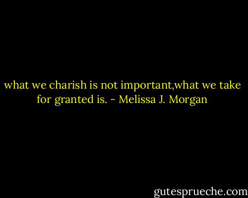 what we charish is not important,what we take for granted is. - Melissa J. Morgan