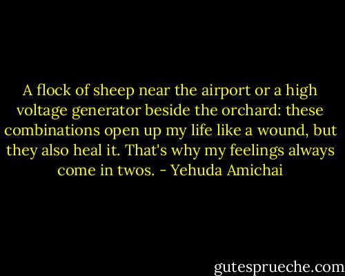 A flock of sheep near the airport or a high voltage generator beside the orchard: these combinations open up my life like a wound, but they also heal it. That's why my feelings always come in twos. - Yehuda Amichai