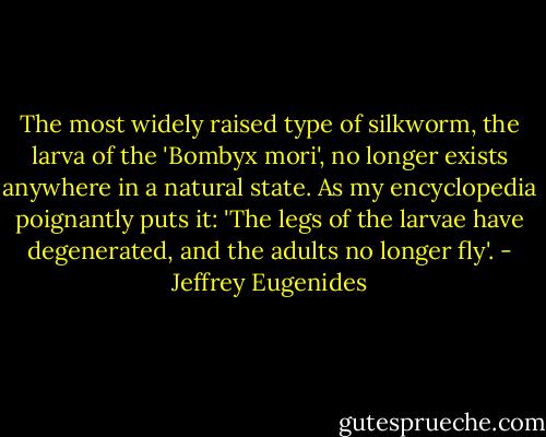 The most widely raised type of silkworm, the larva of the 'Bombyx mori', no longer exists anywhere in a natural state. As my encyclopedia poignantly puts it: 'The legs of the larvae have degenerated, and the adults no longer fly'. - Jeffrey Eugenides