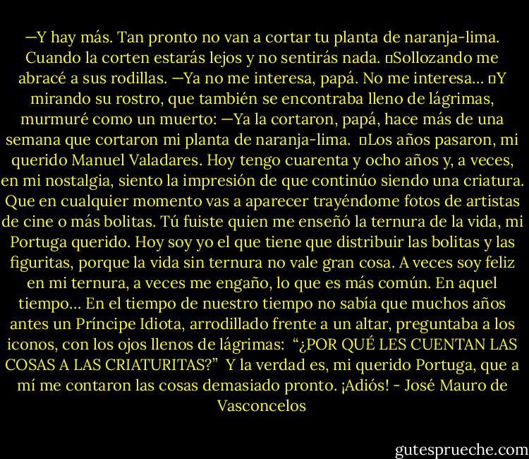 —Y hay más. Tan pronto no van a cortar tu planta de naranja-lima. Cuando la corten estarás lejos y no sentirás nada.<br />	Sollozando me abracé a sus rodillas.<br />—Ya no me interesa, papá. No me interesa…<br />	Y mirando su rostro, que también se encontraba lleno de lágrimas, murmuré como un muerto:<br />—Ya la cortaron, papá, hace más de una semana que cortaron mi planta de naranja-lima.<br /><br />	Los años pasaron, mi querido Manuel Valadares. Hoy tengo cuarenta y ocho años y, a veces, en mi nostalgia, siento la impresión de que continúo siendo una criatura. Que en cualquier momento vas a aparecer trayéndome fotos de artistas de cine o más bolitas. Tú fuiste quien me enseñó la ternura de la vida, mi Portuga querido. Hoy soy yo el que tiene que distribuir las bolitas y las figuritas, porque la vida sin ternura no vale gran cosa. A veces soy feliz en mi ternura, a veces me engaño, lo que es más común.<br />En aquel tiempo… En el tiempo de nuestro tiempo no sabía que muchos años antes un Príncipe Idiota, arrodillado frente a un altar, preguntaba a los iconos, con los ojos llenos de lágrimas:<br /><br />“¿POR QUÉ LES CUENTAN LAS COSAS A LAS CRIATURITAS?”<br /><br />Y la verdad es, mi querido Portuga, que a mí me contaron las cosas demasiado pronto.<br />¡Adiós! - José Mauro de Vasconcelos