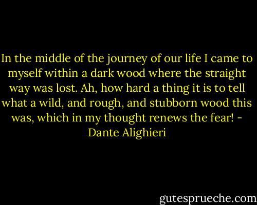 In the middle of the journey of our life I came to myself within a dark wood where the straight way was lost. Ah, how hard a thing it is to tell what a wild, and rough, and stubborn wood this was, which in my thought renews the fear! - Dante Alighieri