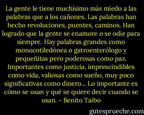 La gente le tiene muchísimo más miedo a las palabras que a los cañones. Las palabras han hecho revoluciones, puentes, caminos. Han logrado que la gente se enamore o se odie para siempre. Hay palabras grandes como monocotiledónea o gatroenterólogo y pequeñitas pero poderosas como paz. Importantes como justicia, imprescindibles como vida, valiosas como sueño, muy poco significativas como dinero... Lo importante es cómo se usan y qué se quiere decir cuando se usan. - Benito Taibo