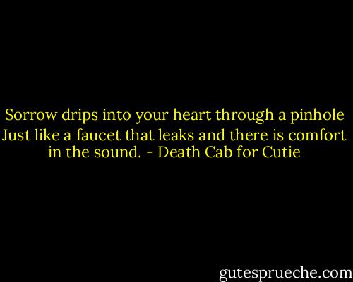 Sorrow drips into your heart through a pinhole<br />Just like a faucet that leaks and there is comfort in the sound. - Death Cab for Cutie