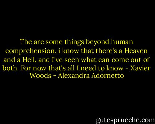 The are some things beyond human comprehension. i know that there's a Heaven and a Hell, and I've seen what can come out of both. For now that's all I need to know - Xavier Woods - Alexandra Adornetto