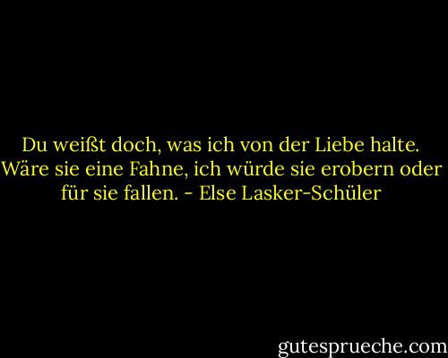 Du weißt doch, was ich von der Liebe halte. Wäre sie eine Fahne, ich würde sie erobern oder für sie fallen. - Else Lasker-Schüler