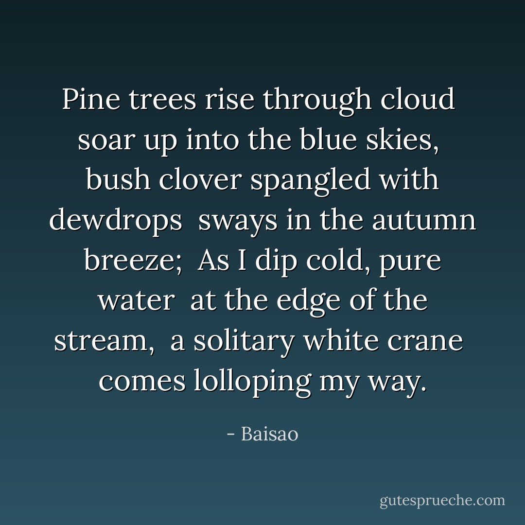Pine trees rise through cloud <br />soar up into the blue skies, <br />bush clover spangled with dewdrops <br />sways in the autumn breeze; <br />As I dip cold, pure water <br />at the edge of the stream, <br />a solitary white crane <br />comes lolloping my way. - Baisao