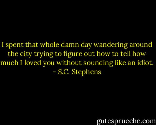 I spent that whole damn day wandering around the city trying to figure out how to tell how much I loved you without sounding like an idiot. - S.C. Stephens