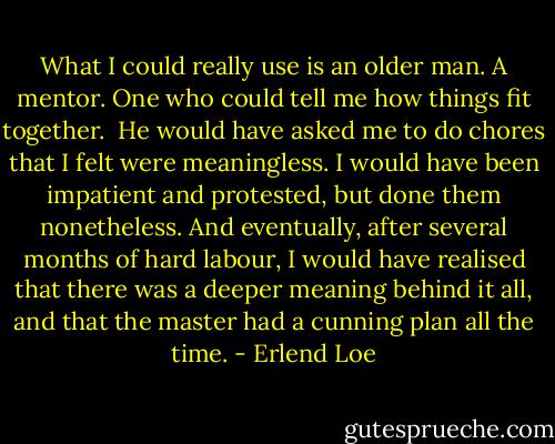 What I could really use is an older man. A mentor. One who could tell me how things fit together.<br /><br />He would have asked me to do chores that I felt were meaningless. I would have been impatient and protested, but done them nonetheless. And eventually, after several months of hard labour, I would have realised that there was a deeper meaning behind it all, and that the master had a cunning plan all the time. - Erlend Loe