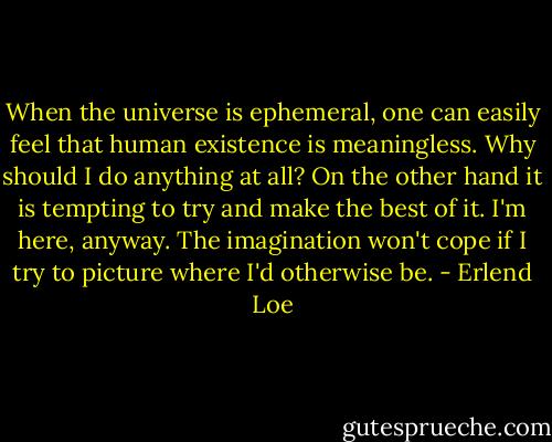 When the universe is ephemeral, one can easily feel that human existence is meaningless. Why should I do anything at all?<br />On the other hand it is tempting to try and make the best of it. I'm here, anyway. The imagination won't cope if I try to picture where I'd otherwise be. - Erlend Loe