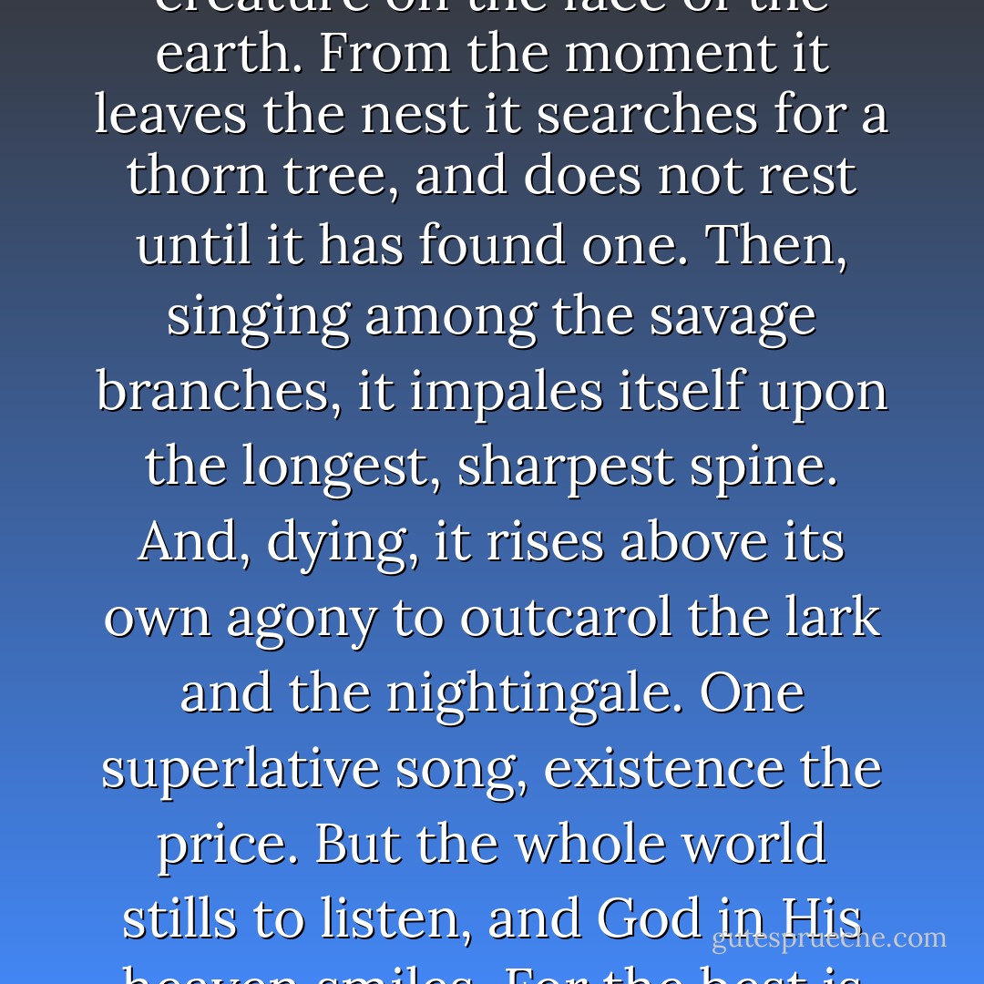 There is a legend about a bird which sings just once in its life, more sweetly than any other creature on the face of the earth. From the moment it leaves the nest it searches for a thorn tree, and does not rest until it has found one. Then, singing among the savage branches, it impales itself upon the longest, sharpest spine. And, dying, it rises above its own agony to outcarol the lark and the nightingale. One superlative song, existence the price. But the whole world stills to listen, and God in His heaven smiles. For the best is only bought at the cost of great pain… Or so says the legend. - Colleen McCullough