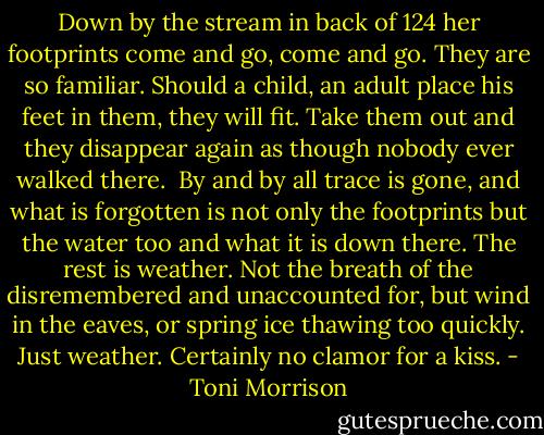 Down by the stream in back of 124 her footprints come and go, come and go. They are so familiar. Should a child, an adult place his feet in them, they will fit. Take them out and they disappear again as though nobody ever walked there. <br />By and by all trace is gone, and what is forgotten is not only the footprints but the water too and what it is down there. The rest is weather. Not the breath of the disremembered and unaccounted for, but wind in the eaves, or spring ice thawing too quickly. Just weather. Certainly no clamor for a kiss. - Toni Morrison