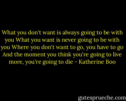 What you don't want is always going to be with you<br />What you want is never going to be with you<br />Where you don't want to go, you have to go<br />And the moment you think you're going to live more, you're going to die - Katherine Boo