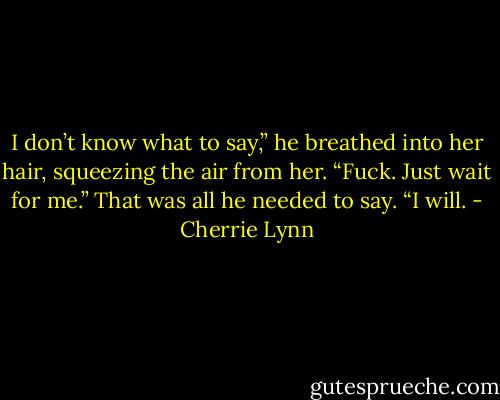 I don’t know what to say,” he breathed into her hair, squeezing the air from her. “Fuck. Just wait for me.”<br />That was all he needed to say. “I will. - Cherrie Lynn