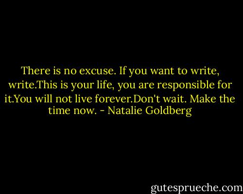 There is no excuse. If you want to write, write.This is your life, you are responsible for it.You will not live forever.Don't wait. Make the time now. - Natalie Goldberg