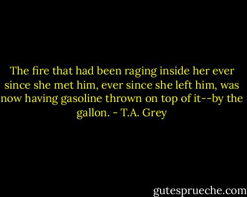 The fire that had been raging inside her ever since she met him, ever since she left him, was now having gasoline thrown on top of it--by the gallon. - T.A. Grey