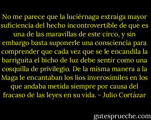 No me parece que la luciérnaga extraiga mayor suficiencia del hecho incontrovertible de que es una de las maravillas de este circo, y sin embargo basta suponerle una consciencia para comprender que cada vez que se le encandila la barriguita el bicho de luz debe sentir como una cosquilla de privilegio. De la misma manera a la Maga le encantaban los líos inverosímiles en los que andaba metida siempre por causa del fracaso de las leyes en su vida. - Julio Cortázar
