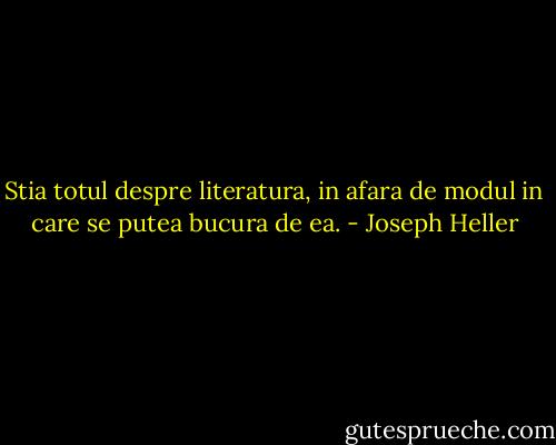 Stia totul despre literatura, in afara de modul in care se putea bucura de ea. - Joseph Heller