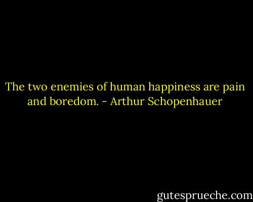 The two enemies of human happiness are pain and boredom. - Arthur Schopenhauer