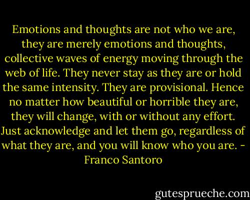Emotions and thoughts are not who we are, they are merely emotions and thoughts, collective waves of energy moving through the web of life. They never stay as they are or hold the same intensity. They are provisional. Hence no matter how beautiful or horrible they are, they will change, with or without any effort. Just acknowledge and let them go, regardless of what they are, and you will know who you are. - Franco Santoro