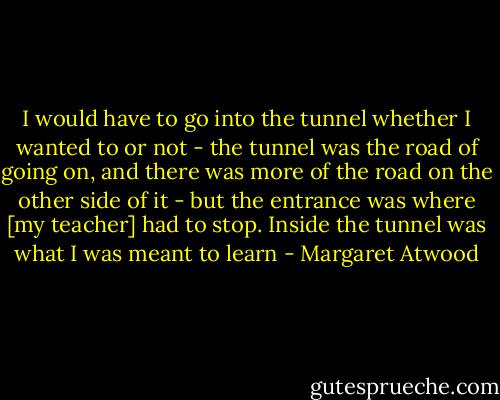 I would have to go into the tunnel whether I wanted to or not - the tunnel was the road of going on, and there was more of the road on the other side of it - but the entrance was where [my teacher] had to stop. Inside the tunnel was what I was meant to learn - Margaret Atwood