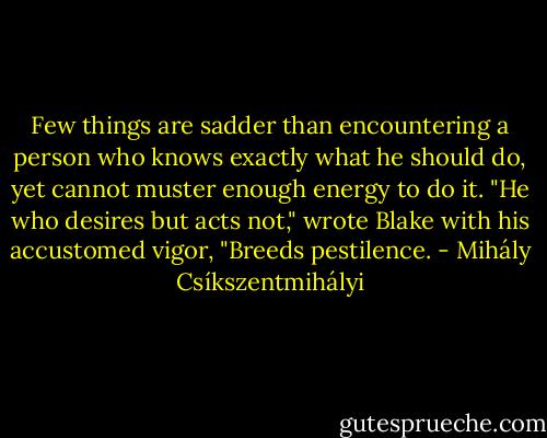 Few things are sadder than encountering a person who knows exactly what he should do, yet cannot muster enough energy to do it. "He who desires but acts not," wrote Blake with his accustomed vigor, "Breeds pestilence. - Mihály Csíkszentmihályi
