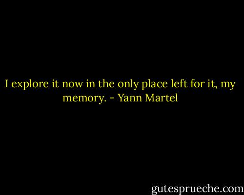 I explore it now in the only place left for it, my memory. - Yann Martel
