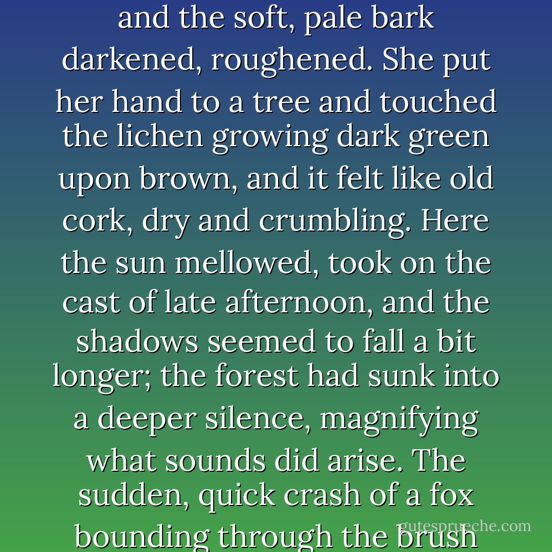 But at some point in her passage, the trees began to change. They stretched taller, and the soft, pale bark darkened, roughened. She put her hand to a tree and touched the lichen growing dark green upon brown, and it felt like old cork, dry and crumbling. Here the sun mellowed, took on the cast of late afternoon, and the shadows seemed to fall a bit longer; the forest had sunk into a deeper silence, magnifying what sounds did arise. The sudden, quick crash of a fox bounding through the brush was as loud as the slam of a great wooden door. - Malinda Lo