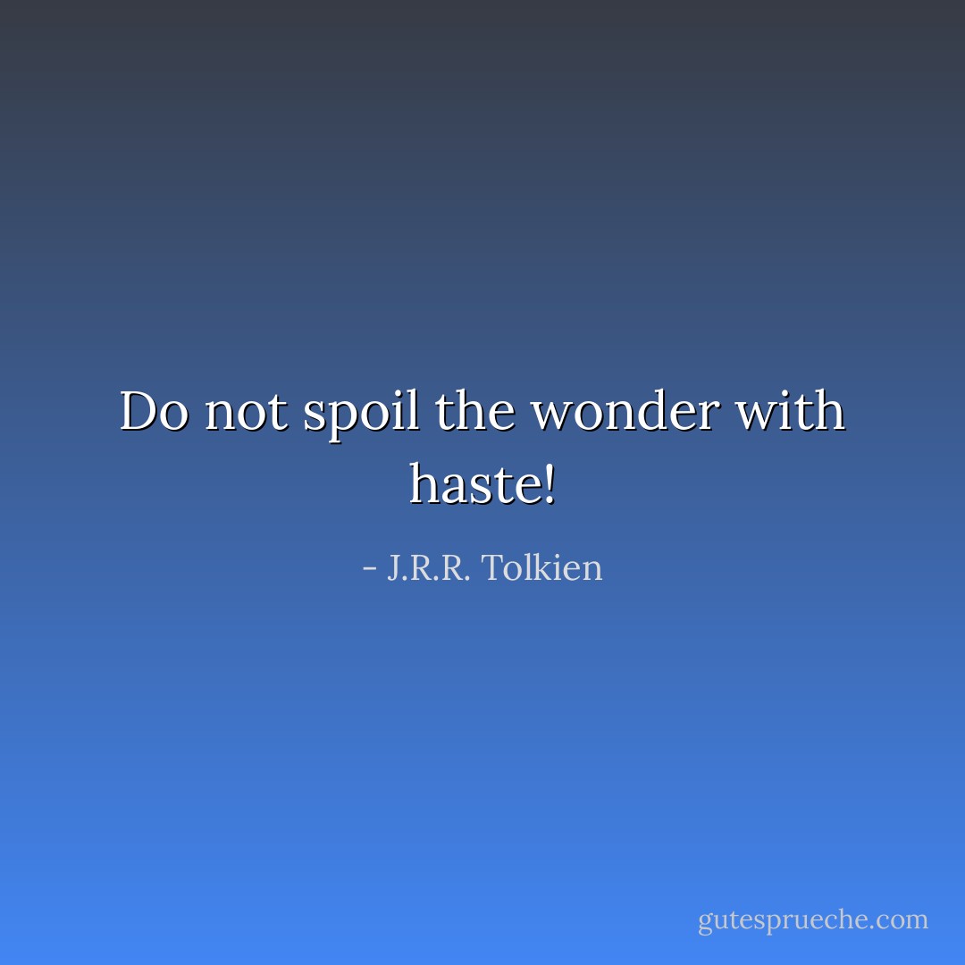 Do not spoil the wonder with haste! - J.R.R. Tolkien