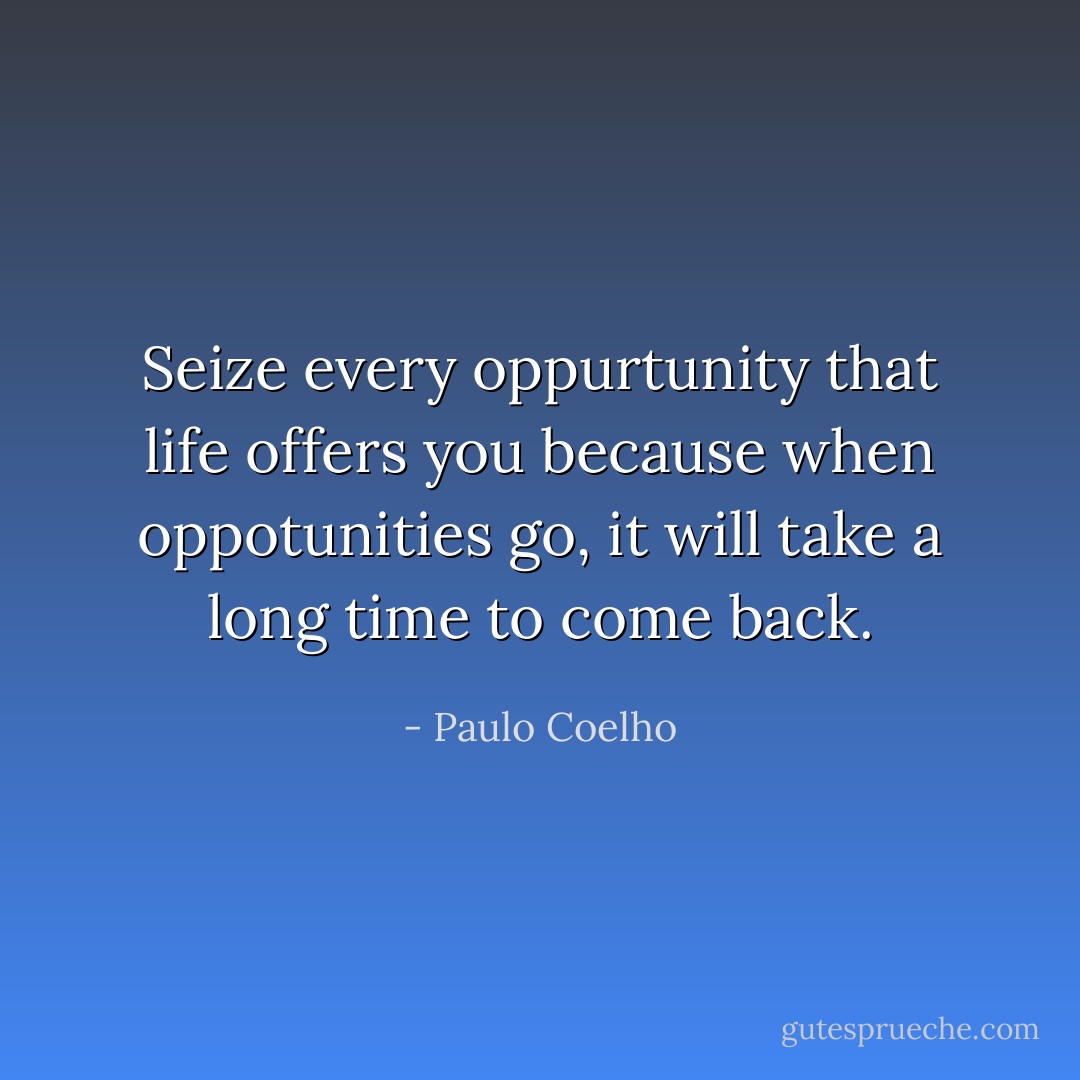 Seize every oppurtunity that life offers you because when oppotunities go, it will take a long time to come back. - Paulo Coelho