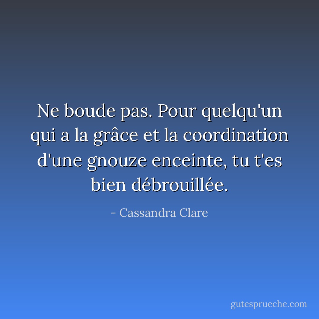 Ne boude pas. Pour quelqu'un qui a la grâce et la coordination d'une gnouze enceinte, tu t'es bien débrouillée. - Cassandra Clare