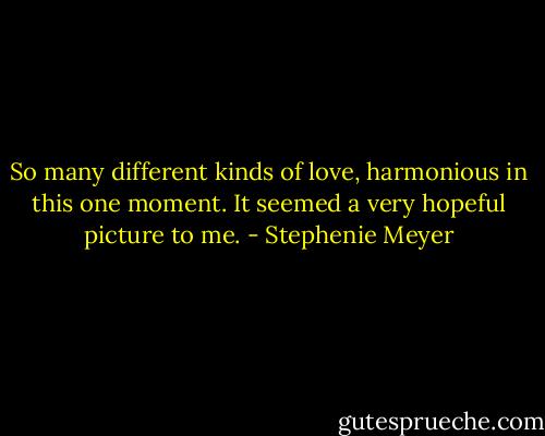So many different kinds of love, harmonious in this one moment. It seemed a very hopeful picture to me. - Stephenie Meyer