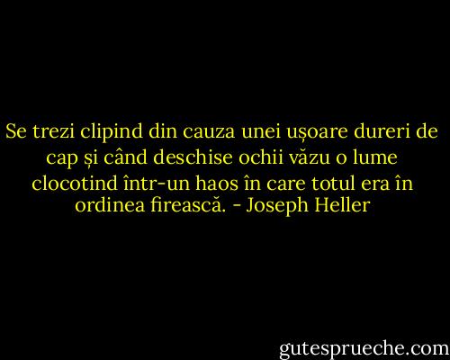 Se trezi clipind din cauza unei ușoare dureri de cap și când deschise ochii văzu o lume clocotind într-un haos în care totul era în ordinea firească. - Joseph Heller