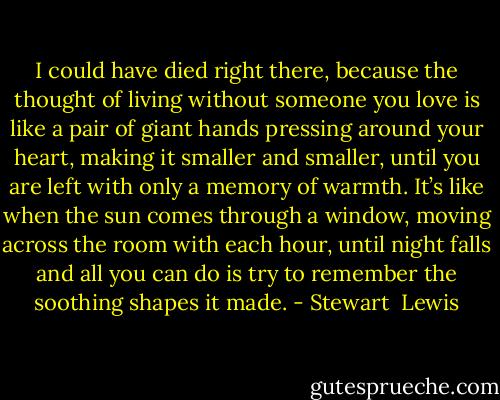 I could have died right there, because the thought of living without someone you love is like a pair of giant hands pressing around your heart, making it smaller and smaller, until you are left with only a memory of warmth. It’s like when the sun comes through a window, moving across the room with each hour, until night falls and all you can do is try to remember the soothing shapes it made. - Stewart  Lewis
