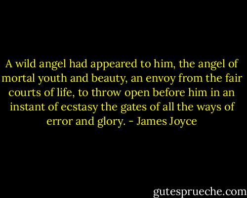 A wild angel had appeared to him, the angel of mortal youth and beauty, an envoy from the fair courts of life, to throw open before him in an instant of ecstasy the gates of all the ways of error and glory. - James Joyce