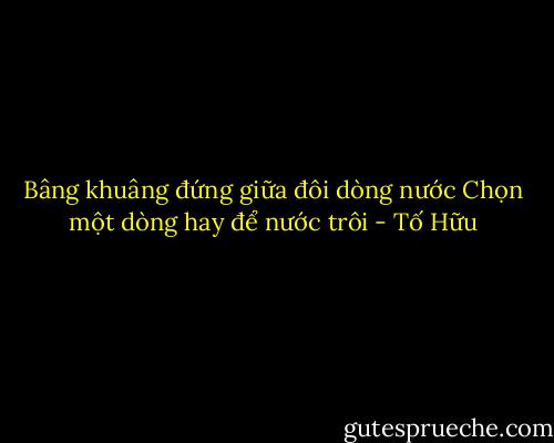 Bâng khuâng đứng giữa đôi dòng nước<br />Chọn một dòng hay để nước trôi - Tố Hữu
