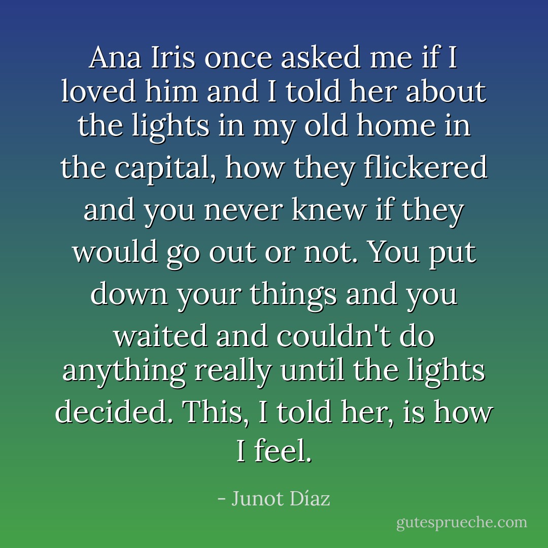 Ana Iris once asked me if I loved him and I told her about the lights in my old home in the capital, how they flickered and you never knew if they would go out or not. You put down your things and you waited and couldn't do anything really until the lights decided. This, I told her, is how I feel. - Junot Díaz