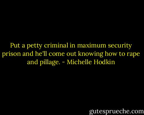 Put a petty criminal in maximum security prison and he'll come out knowing how to rape and pillage. - Michelle Hodkin