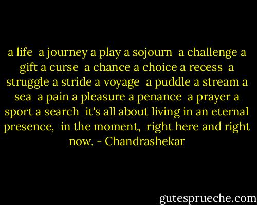 a life<br /><br />a journey<br />a play<br />a sojourn<br /><br />a challenge<br />a gift<br />a curse<br /><br />a chance<br />a choice<br />a recess<br /><br />a struggle<br />a stride<br />a voyage<br /><br />a puddle<br />a stream<br />a sea<br /><br />a pain<br />a pleasure<br />a penance<br /><br />a prayer<br />a sport<br />a search<br /><br />it's all about<br />living in an eternal presence, <br />in the moment, <br />right here and right now. - Chandrashekar