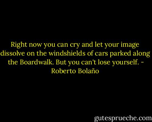 Right now you can cry and let your image dissolve<br />on the windshields of cars parked along <br />the Boardwalk. But you can't lose yourself. - Roberto Bolaño