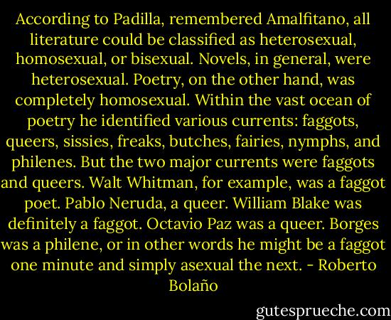 According to Padilla, remembered Amalfitano, all literature could be classified as heterosexual, homosexual, or bisexual. Novels, in general, were heterosexual. Poetry, on the other hand, was completely homosexual. Within the vast ocean of poetry he identified various currents: faggots, queers, sissies, freaks, butches, fairies, nymphs, and philenes. But the two major currents were faggots and queers. Walt Whitman, for example, was a faggot poet. Pablo Neruda, a queer. William Blake was definitely a faggot. Octavio Paz was a queer. Borges was a philene, or in other words he might be a faggot one minute and simply asexual the next. - Roberto Bolaño