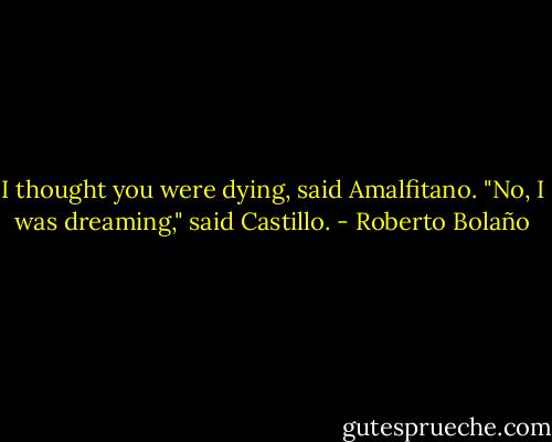 I thought you were dying, said Amalfitano.<br />"No, I was dreaming," said Castillo. - Roberto Bolaño