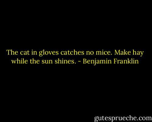 The cat in gloves catches no mice. Make hay while the sun shines. - Benjamin Franklin