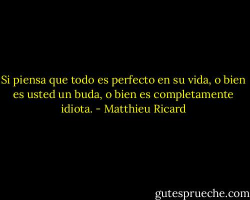 Si piensa que todo es perfecto en su vida, o bien es usted un buda, o bien es completamente idiota. - Matthieu Ricard