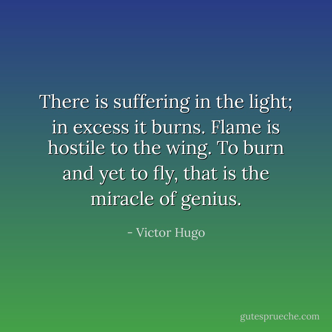 There is suffering in the light; in excess it burns. Flame is hostile to the wing. To burn and yet to fly, that is the miracle of genius. - Victor Hugo