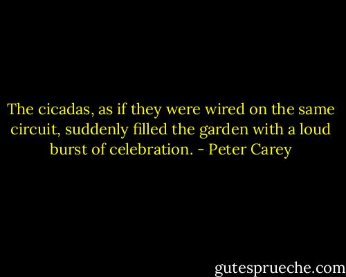 The cicadas, as if they were wired on the same circuit, suddenly filled the garden with a loud burst of celebration. - Peter Carey