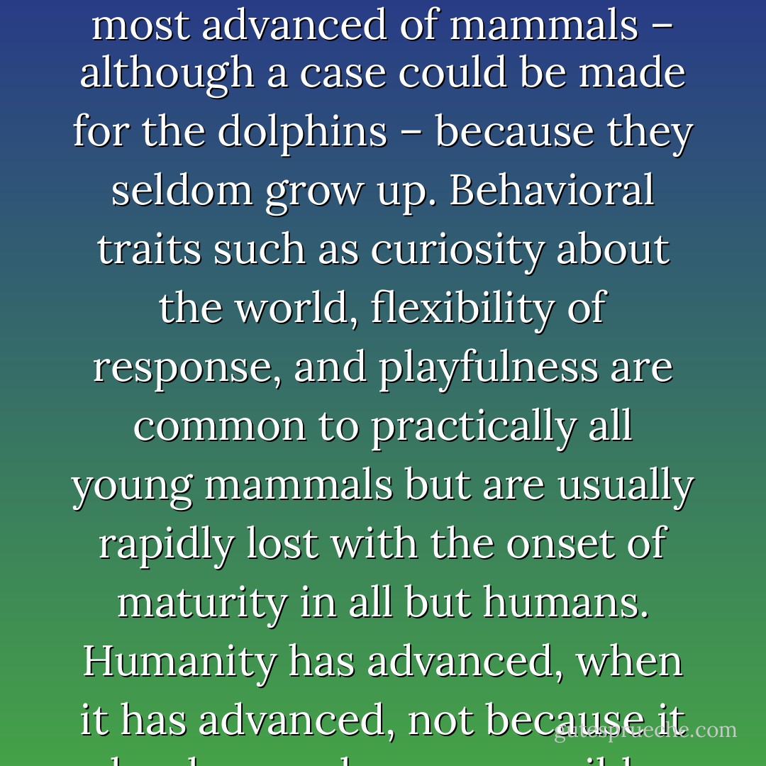 Humans have evolved to their relatively high state by retaining the immature characteristics of their ancestors. Humans are the most advanced of mammals – although a case could be made for the dolphins – because they seldom grow up. Behavioral traits such as curiosity about the world, flexibility of response, and playfulness are common to practically all young mammals but are usually rapidly lost with the onset of maturity in all but humans. Humanity has advanced, when it has advanced, not because it has been sober, responsible and cautious, but because it has been playful, rebellious, and immature. - Tom Robbins