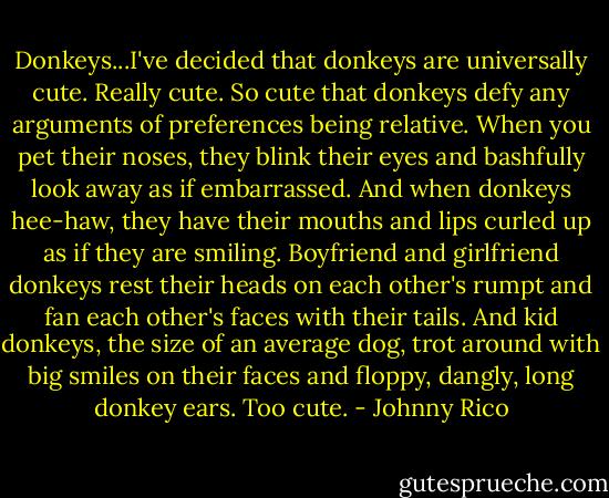 Donkeys...I've decided that donkeys are universally cute. Really cute. So cute that donkeys defy any arguments of preferences being relative. When you pet their noses, they blink their eyes and bashfully look away as if embarrassed. And when donkeys hee-haw, they have their mouths and lips curled up as if they are smiling. Boyfriend and girlfriend donkeys rest their heads on each other's rumpt and fan each other's faces with their tails. And kid donkeys, the size of an average dog, trot around with big smiles on their faces and floppy, dangly, long donkey ears. Too cute. - Johnny Rico